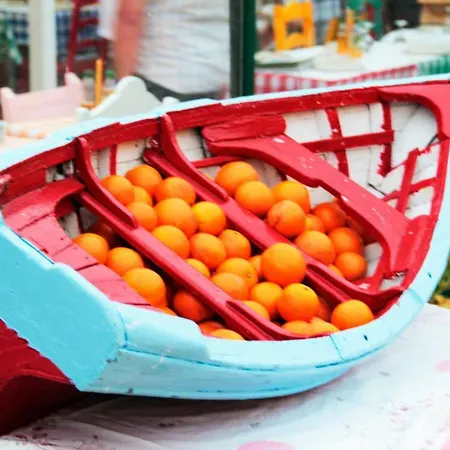 Apartment Tower House Rocha *